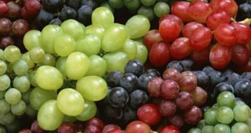 富含维生素C的水果有哪些