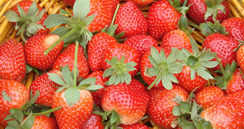 草莓的营养价值及功效与作用是什么