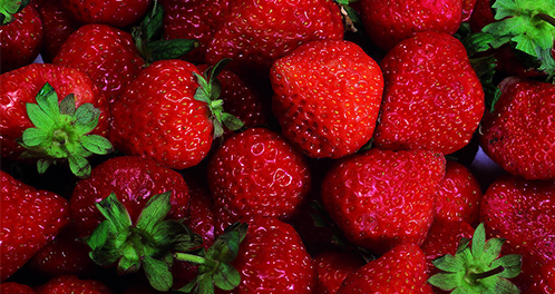 草莓的营养价值及功效与作用是什么